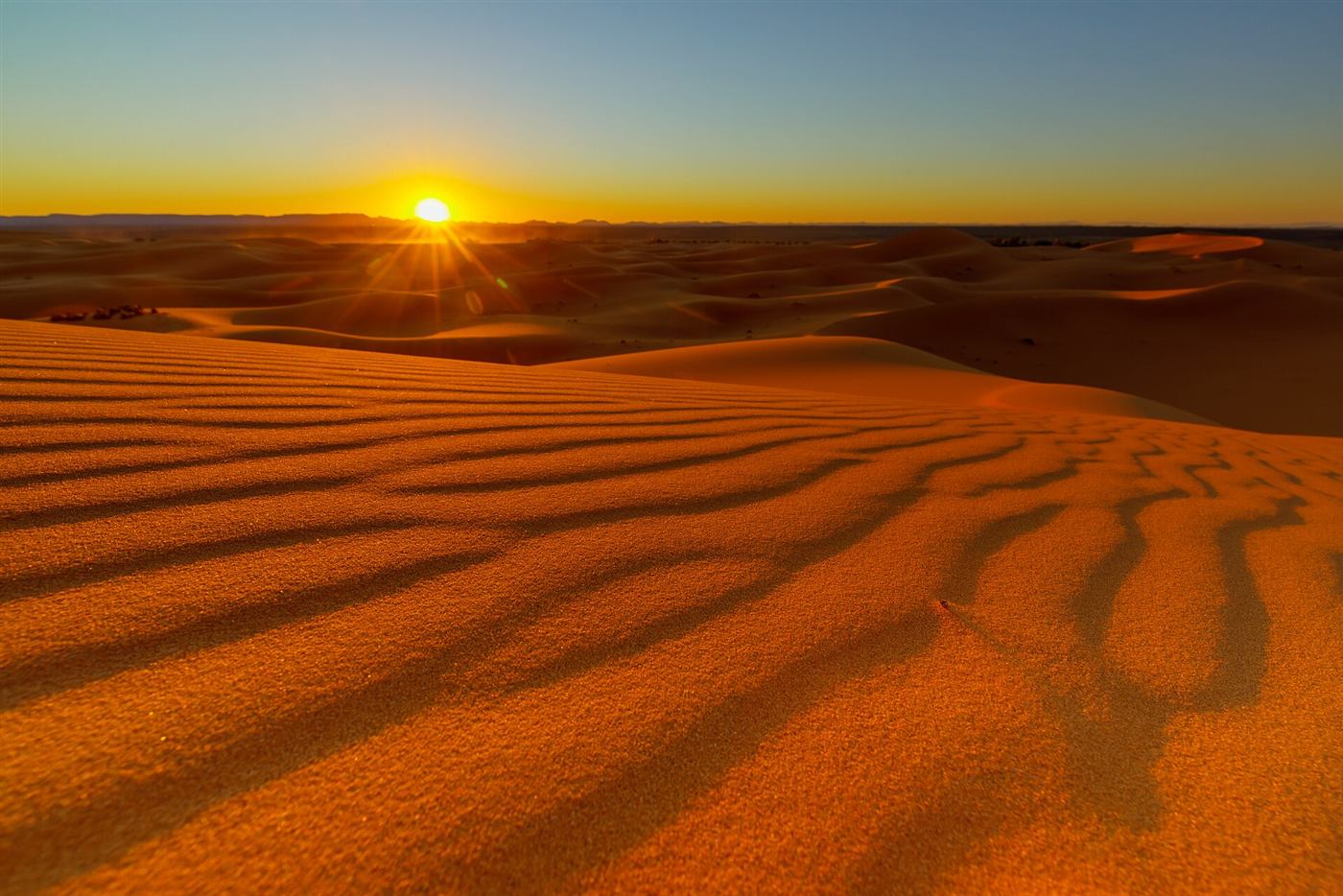 Golden Erg Chebbi dunes at sunset